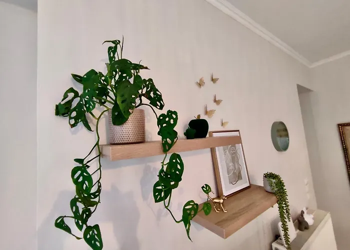 Apartman Tzitzifianaki Cozy Hriszí Aktí Haniá