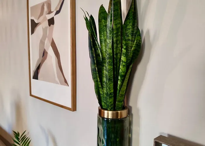 Tzitzifianaki Cozy Chania (Crete)