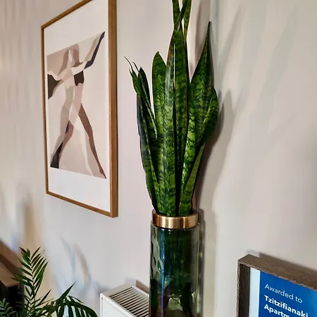 Tzitzifianaki Cozy Hanya